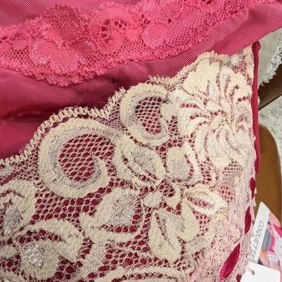 COQUETTE Plus Size Raspberry Lace floral Corset bustier, size 1x/2x - Picture 14 of 16